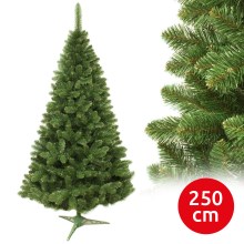 Ziemassvētku egle 250 cm skuju koks