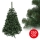 Ziemassvētku egle AMELIA 250 cm skuju koks