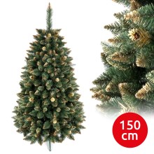 Ziemassvētku egle GOLD 150 cm skuju koks