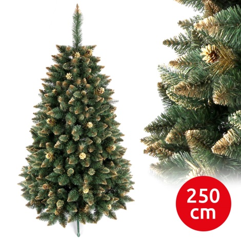Ziemassvētku egle GOLD 250 cm skuju koks