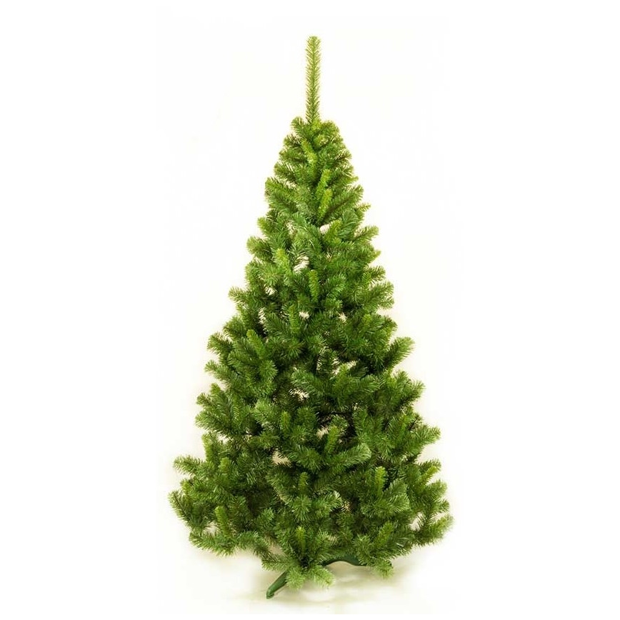 Ziemassvētku egle JULIA 120 cm skuju koks