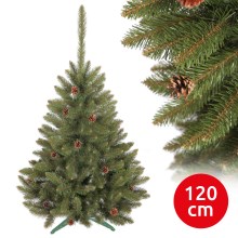 Ziemassvētku egle KAMI 120 cm skuju koks