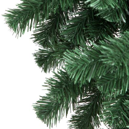 Ziemassvētku egle LONY 180 cm egle