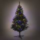 Ziemassvētku egle LOVA 180 cm skuju koks