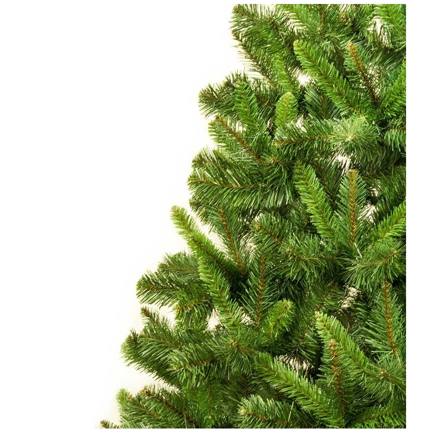 Ziemassvētku egle MOUNTAIN 150 cm skuju koks