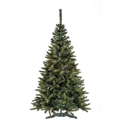 Ziemassvētku egle MOUNTAIN 220 cm egle