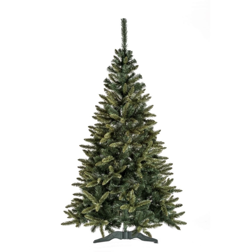Ziemassvētku egle MOUNTAIN 220 cm egle