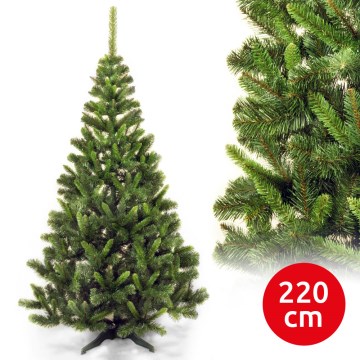 Ziemassvētku egle MOUNTAIN 220 cm skuju koks