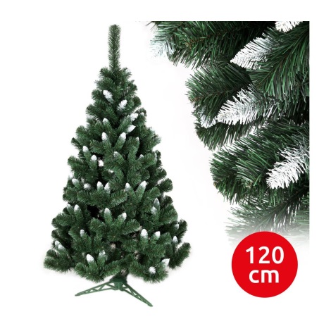 Ziemassvētku egle NARY I 120 cm skuju koks