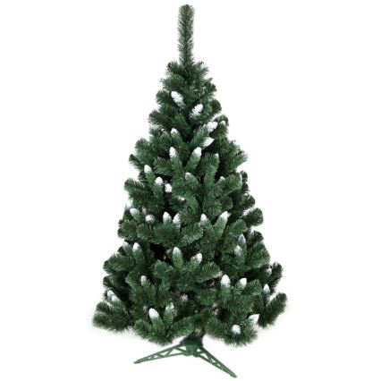 Ziemassvētku egle NARY I 120 cm skuju koks