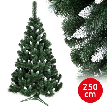 Ziemassvētku egle NARY I 250 cm skuju