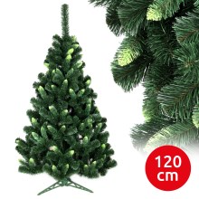 Ziemassvētku egle NARY II 120 cm skuju koks