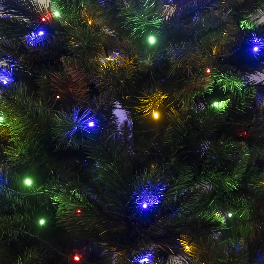 Ziemassvētku egle NARY II 150 cm skuju koks