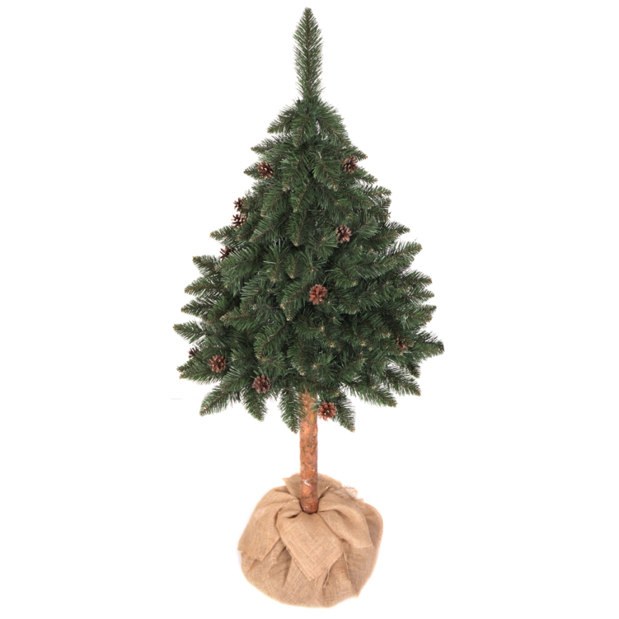 Ziemassvētku egle PIN 180 cm egle