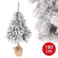 Ziemassvētku egle PIN 180 cm egle