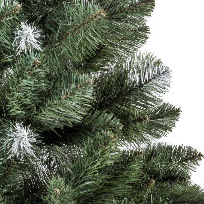 Ziemassvētku egle POLA 220 cm priede