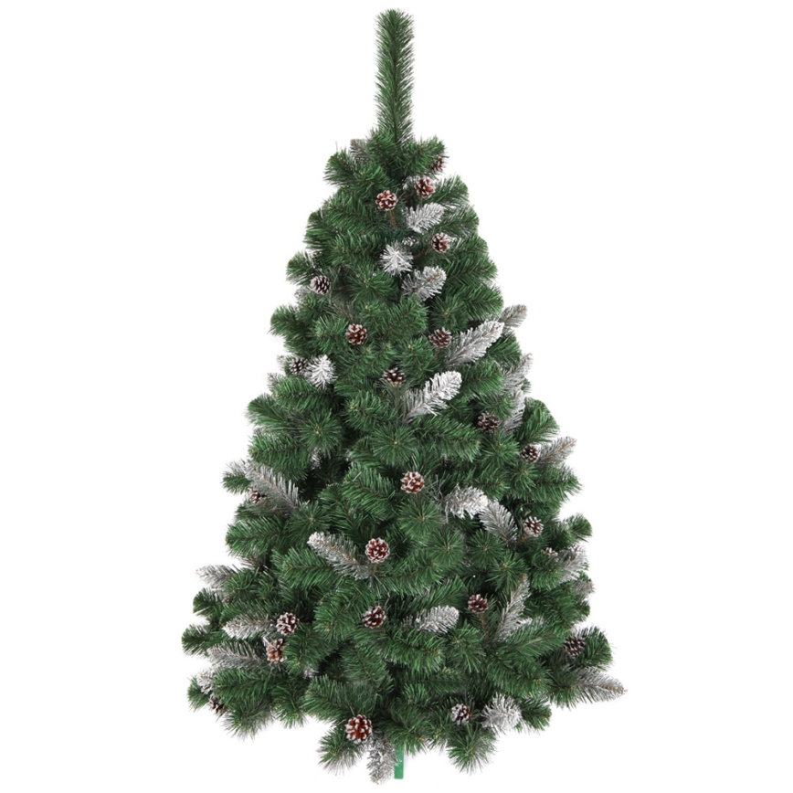 Ziemassvētku egle SNOW 180 cm skuju koks