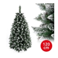 Ziemassvētku egle TAL 120 cm skuju koks