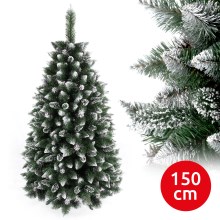 Ziemassvētku egle TAL 150 cm skuju koks