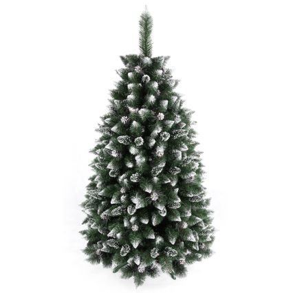 Ziemassvētku egle TAL 150 cm skuju koks