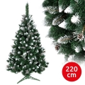 Ziemassvētku egle TAL 220 cm skuju koks