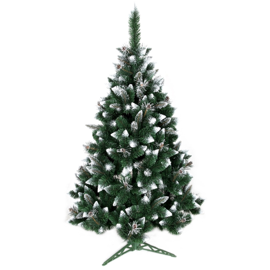 Ziemassvētku egle TAL 220 cm skuju koks