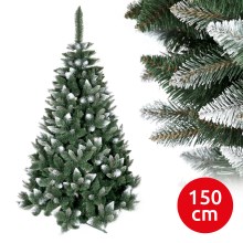 Ziemassvētku egle TEM I 150 cm skuju koks