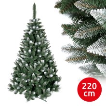 Ziemassvētku egle TEM I 220 cm skuju koks
