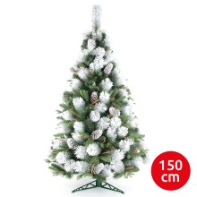 Ziemassvētku egle XMAS TREES 150 cm egle