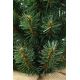 Ziemassvētku egle XMAS TREES 50 cm skuju