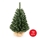 Ziemassvētku egle XMAS TREES 70 cm skuju