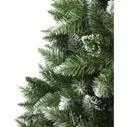 Ziemassvētku eglīte 150 cm egle