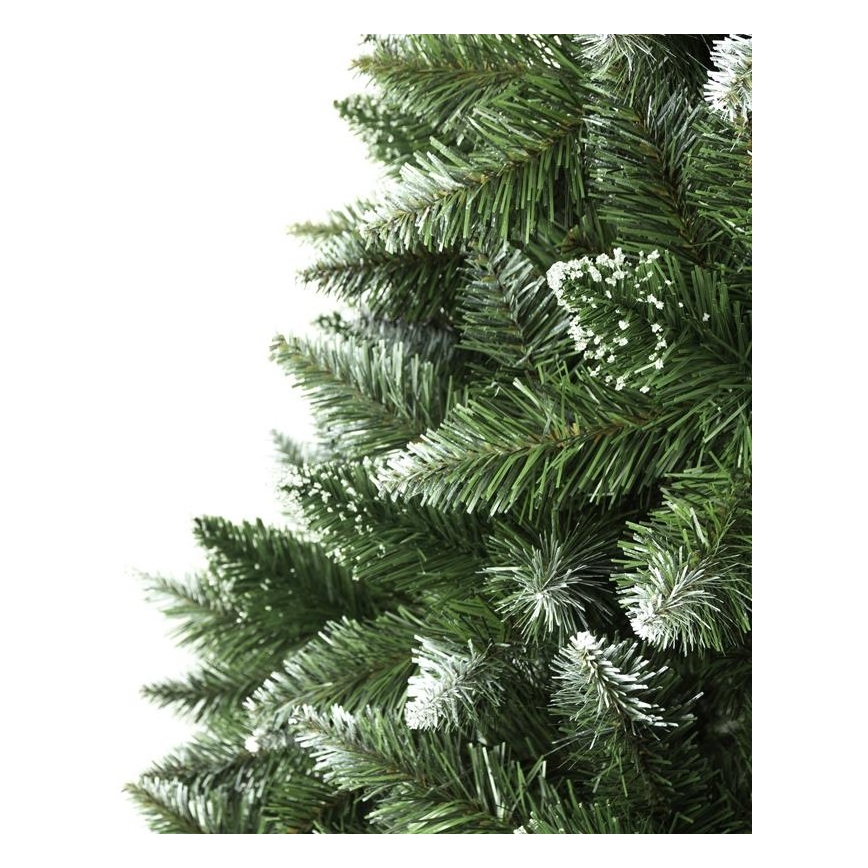 Ziemassvētku eglīte 150 cm egle
