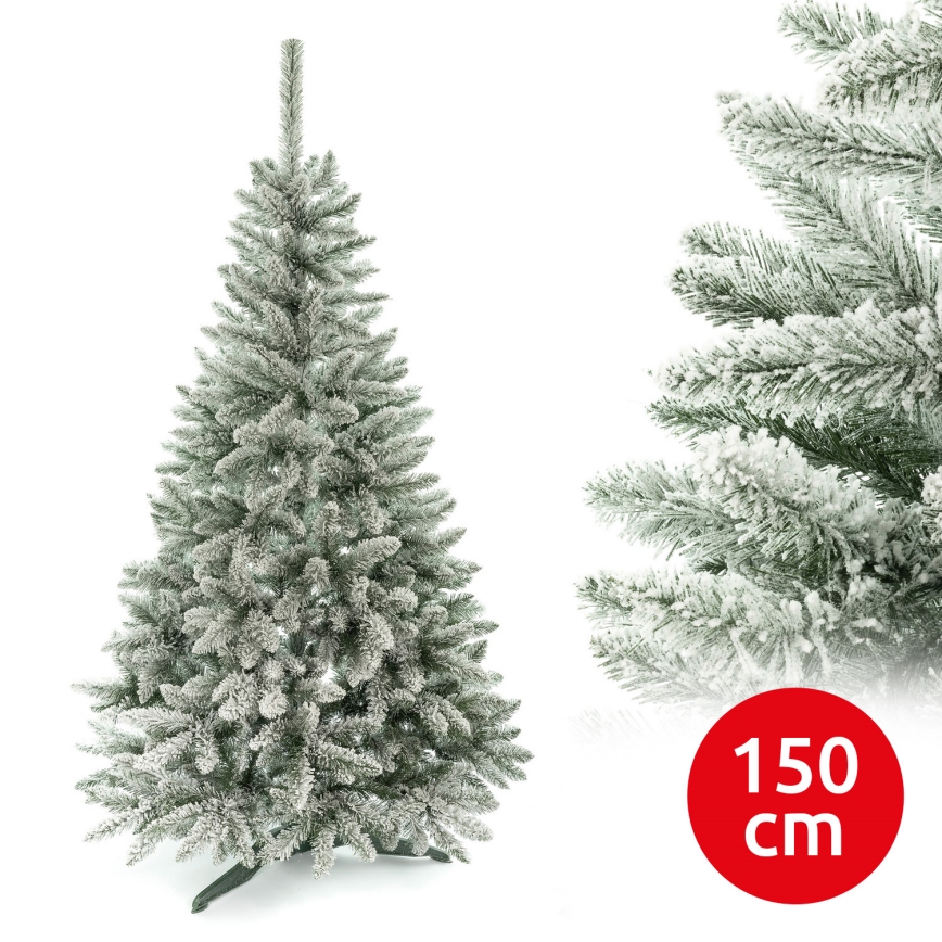 Ziemassvētku eglīte 150 cm egle