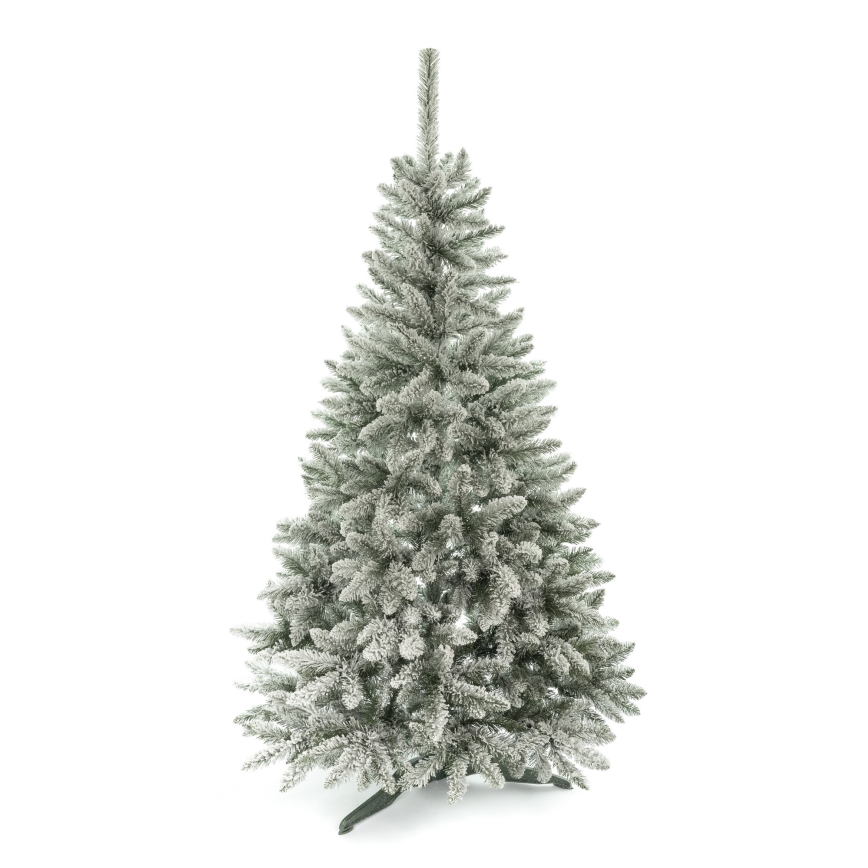 Ziemassvētku eglīte 150 cm egle