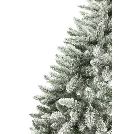 Ziemassvētku eglīte 150 cm egle