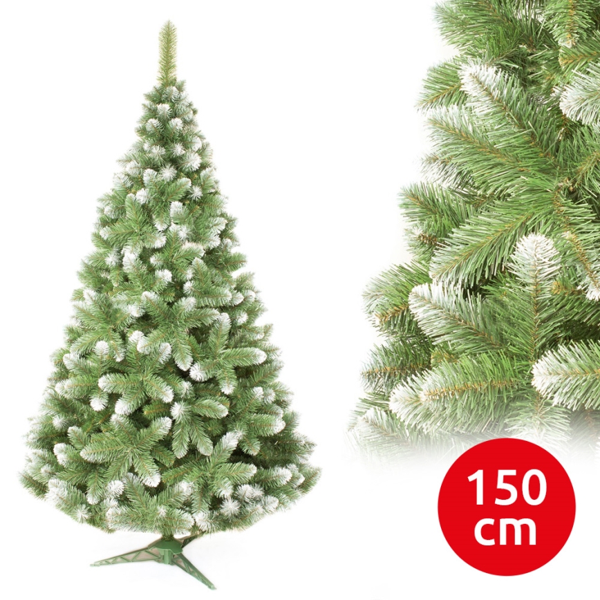 Ziemassvētku eglīte 150 cm priede