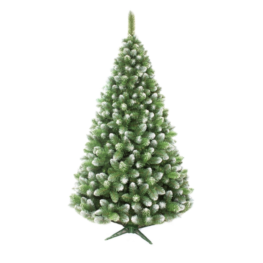 Ziemassvētku eglīte 150 cm priede