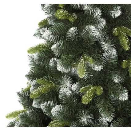 Ziemassvētku eglīte 180 cm priede