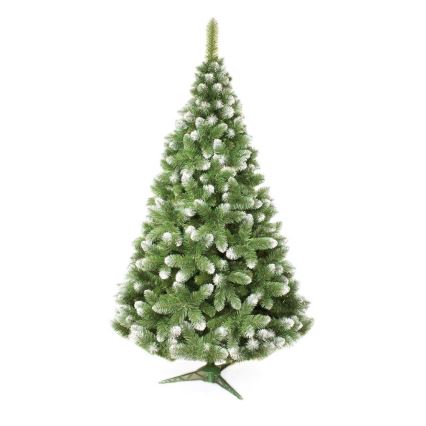 Ziemassvētku eglīte 180 cm priede