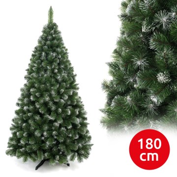 Ziemassvētku eglīte 180 cm priede