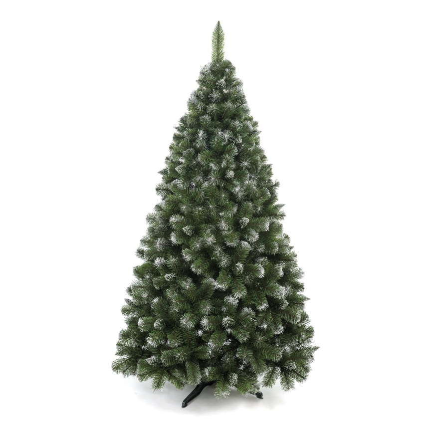 Ziemassvētku eglīte 180 cm priede