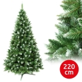 Ziemassvētku eglīte 220 cm egle