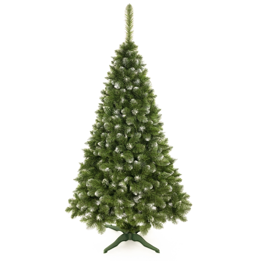 Ziemassvētku eglīte 220 cm priede