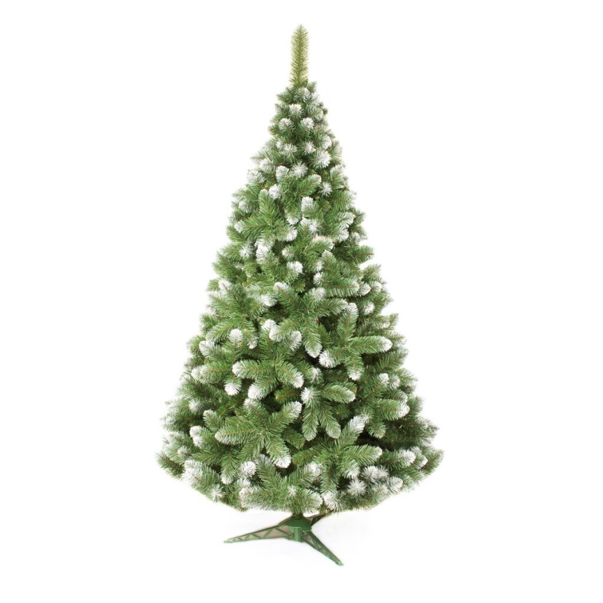 Ziemassvētku eglīte 220 cm priede