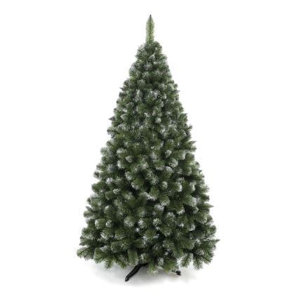 Ziemassvētku eglīte 220 cm priede