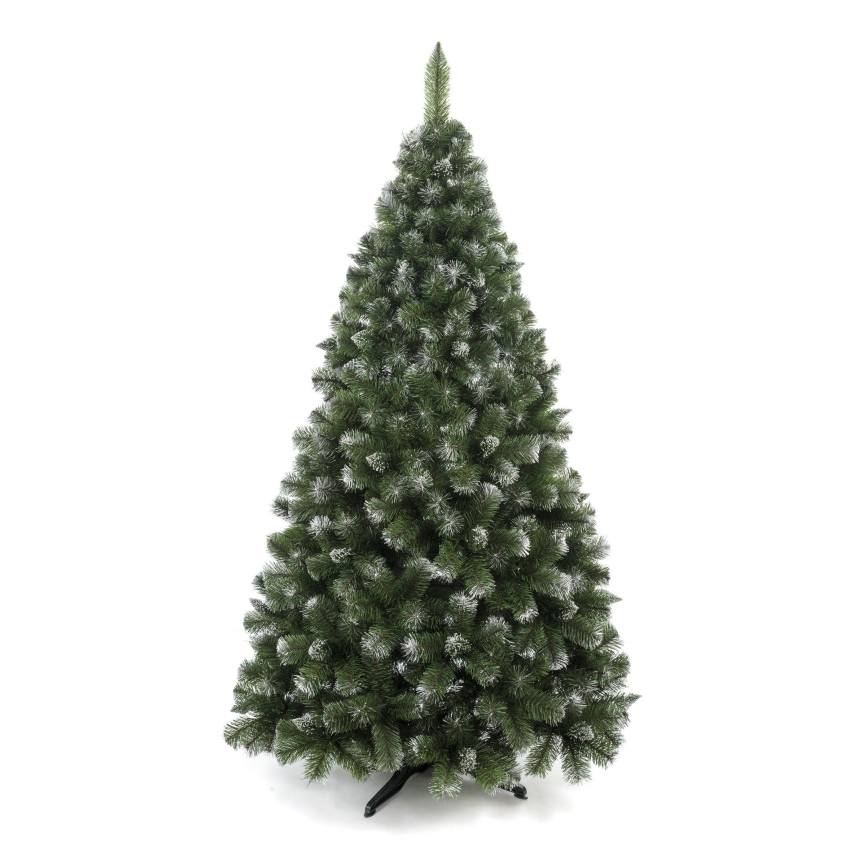 Ziemassvētku eglīte 220 cm priede