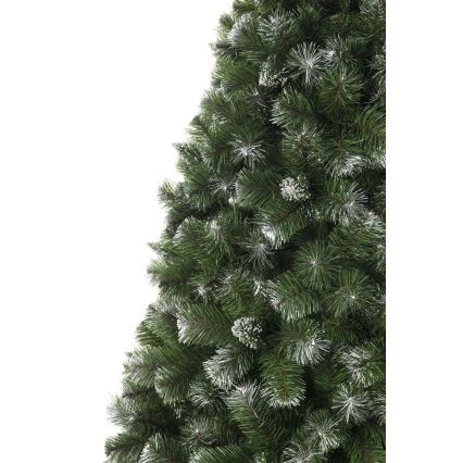 Ziemassvētku eglīte 220 cm priede
