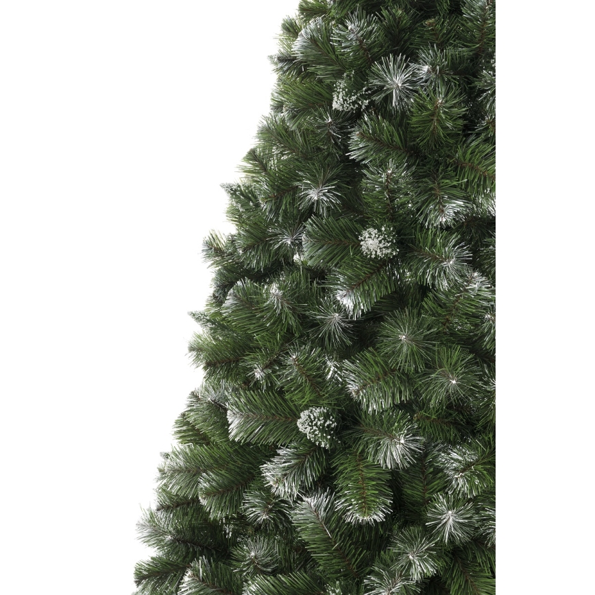 Ziemassvētku eglīte 220 cm priede
