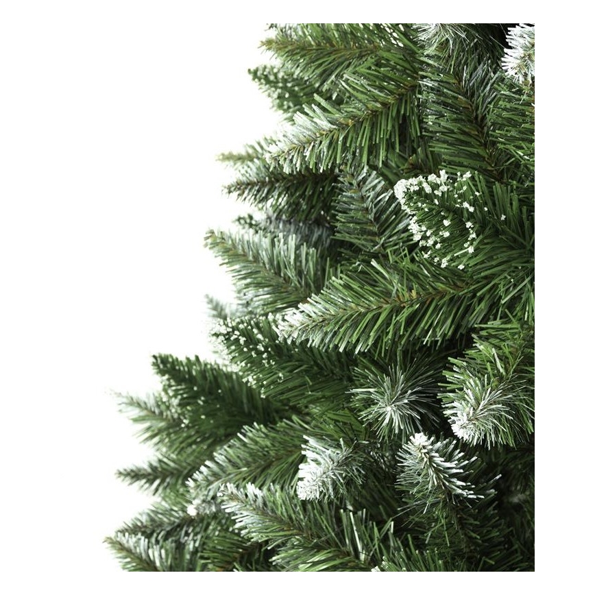 Ziemassvētku eglīte 250 cm egle